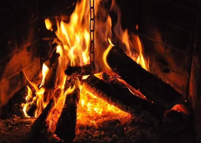 Monte Degli Elci 住宿加早餐酒店