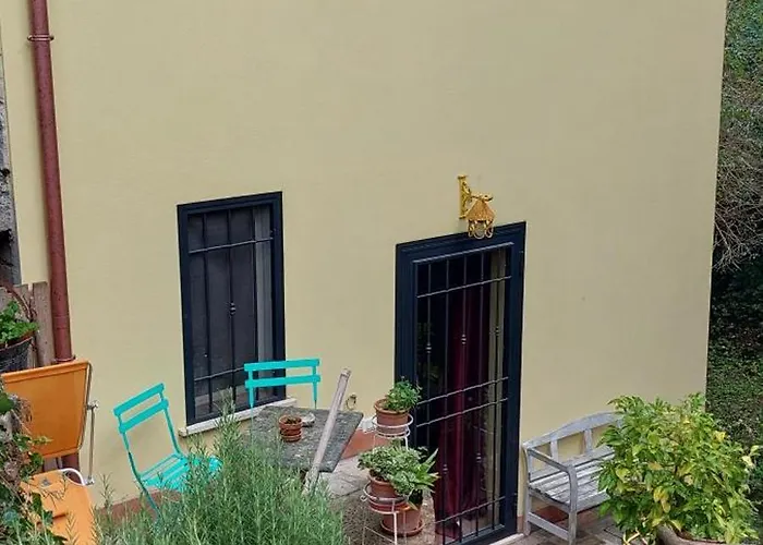 Monte Degli Elci Toffia